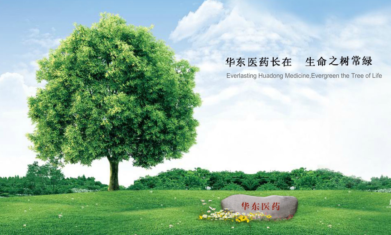 杭州华东医药.集团